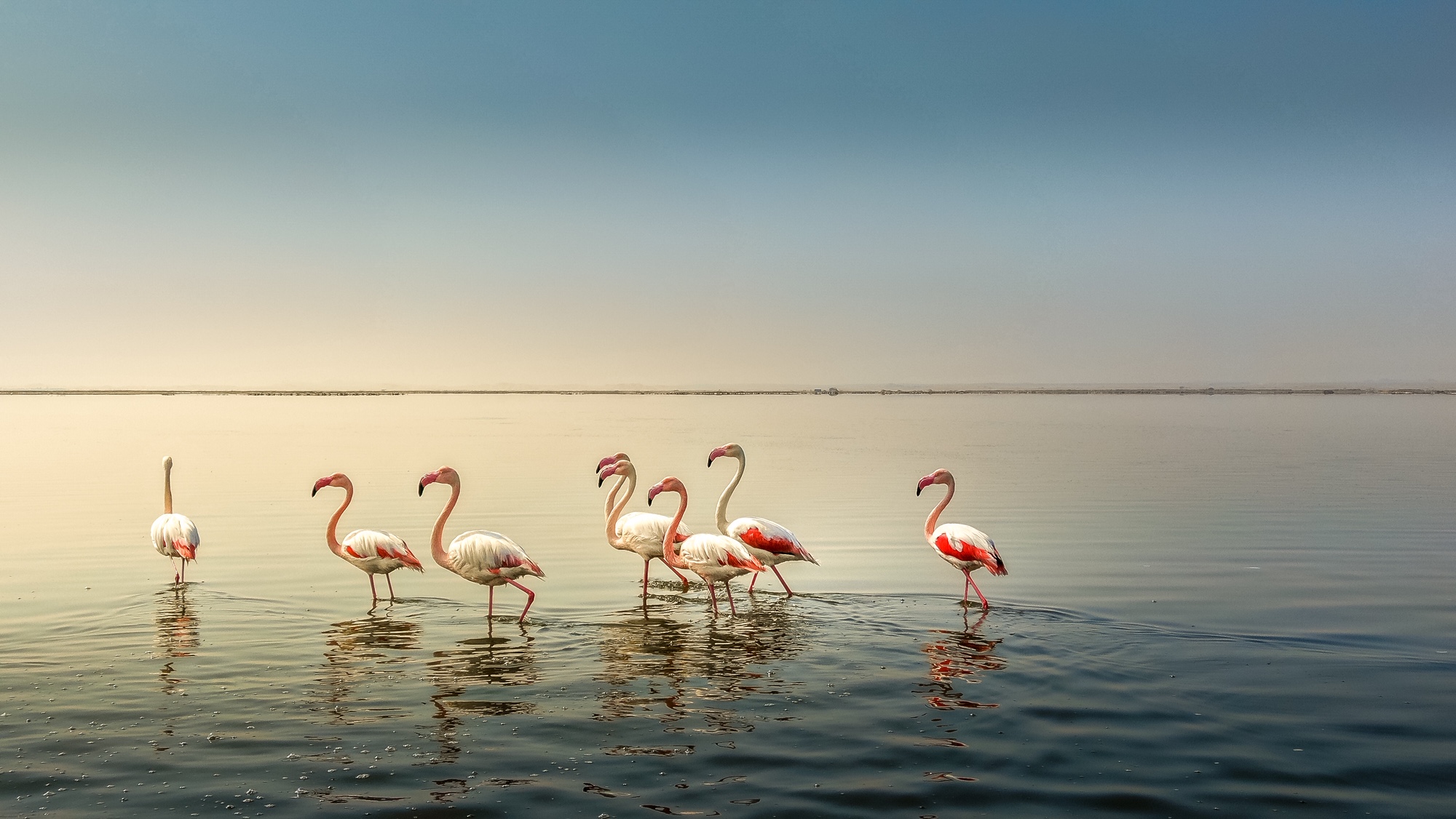 Sossusvlei Desert Lodge – Namibia Luxury Escape Image 4