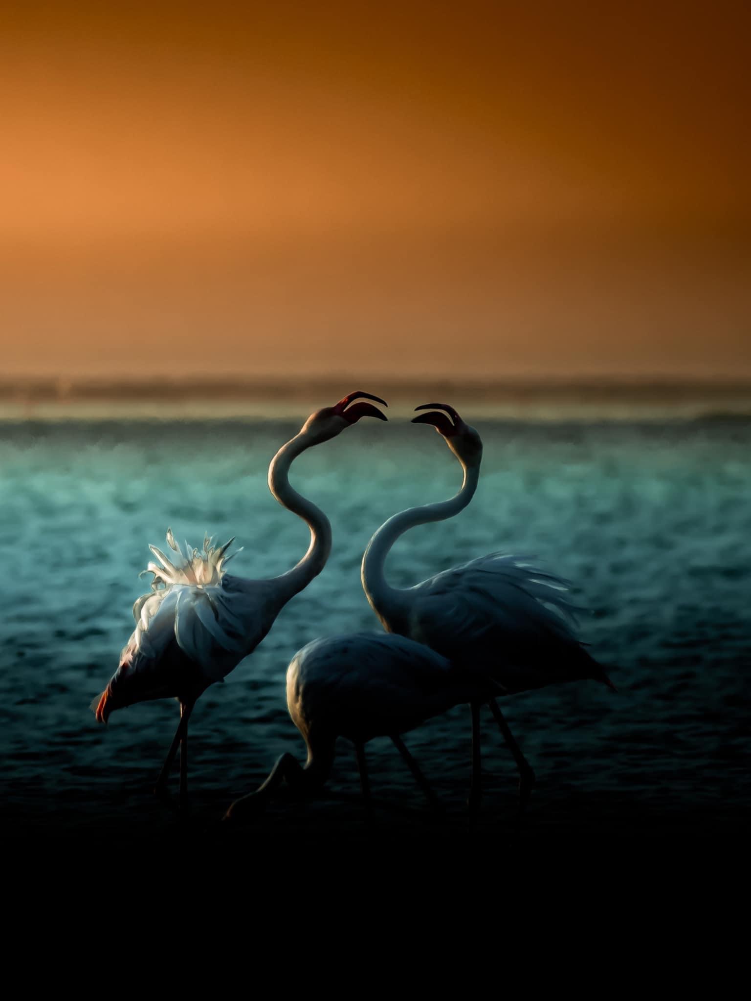 Namibia Luxury Accommodation: Camp Kala Luxury Safaris Image 1