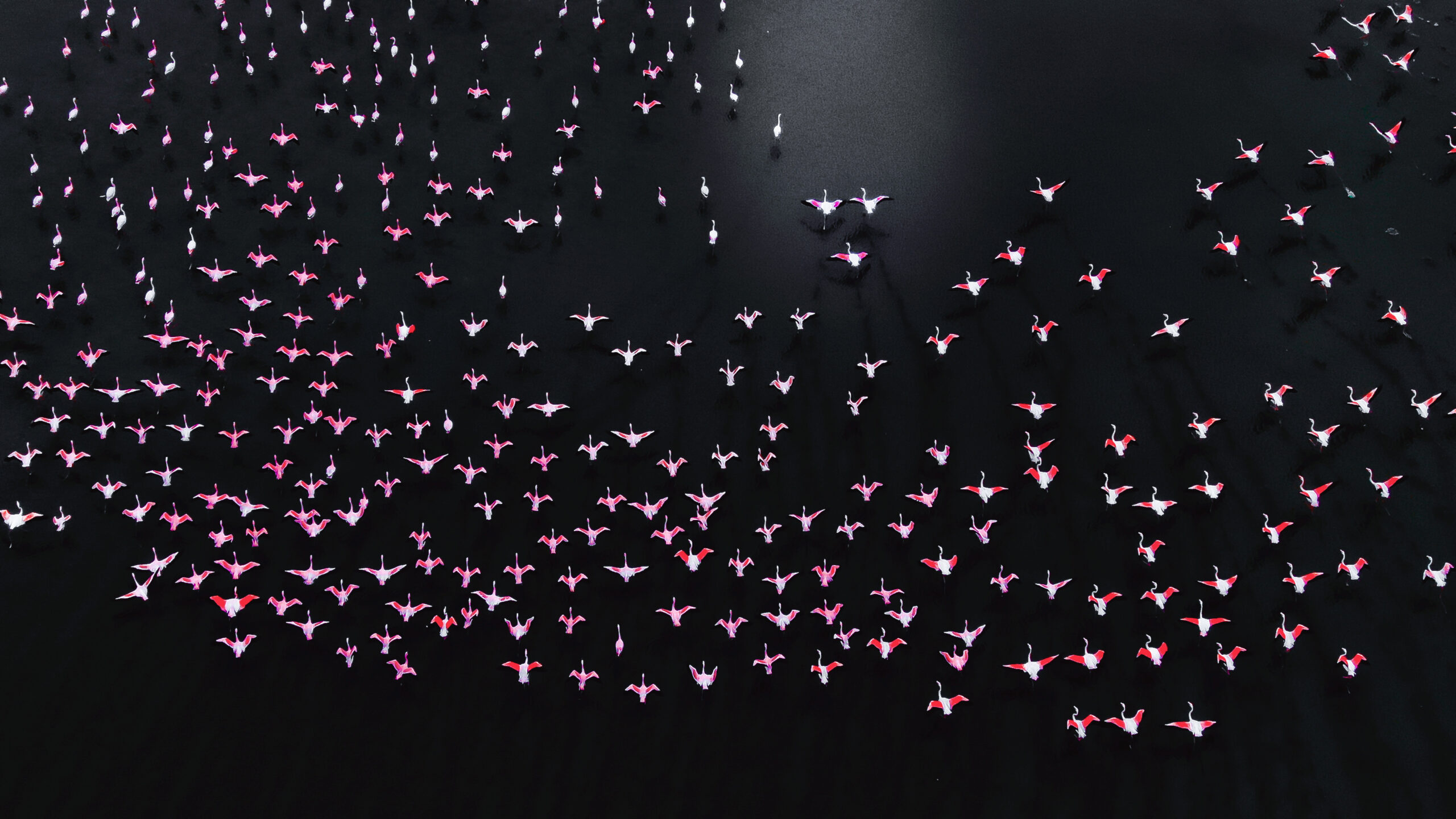 Namibia Luxury Accommodation: Camp Kala Luxury Safaris Image 2