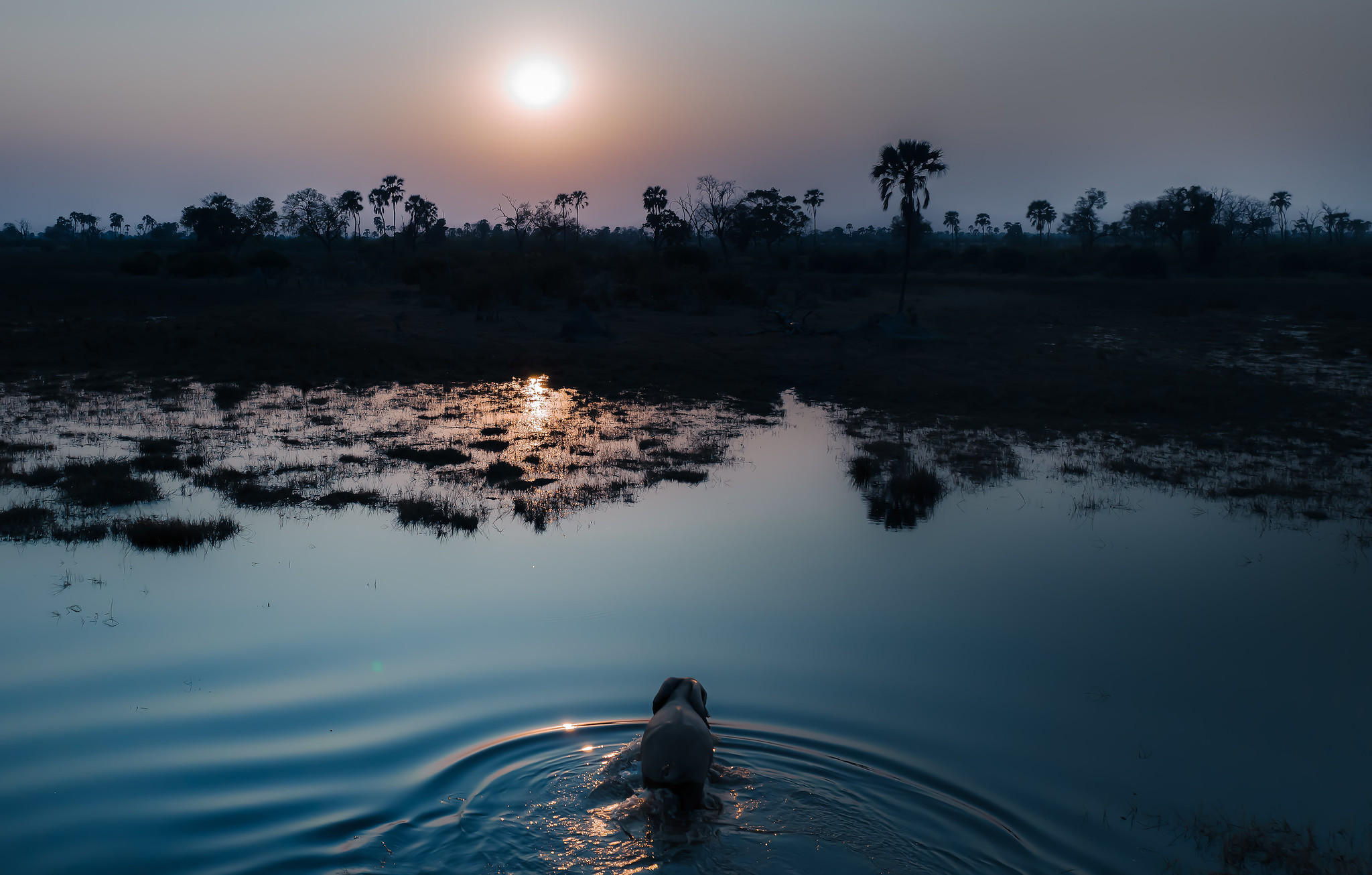 9 Day Kenya Circuit Safari With Masai Mara Image 1