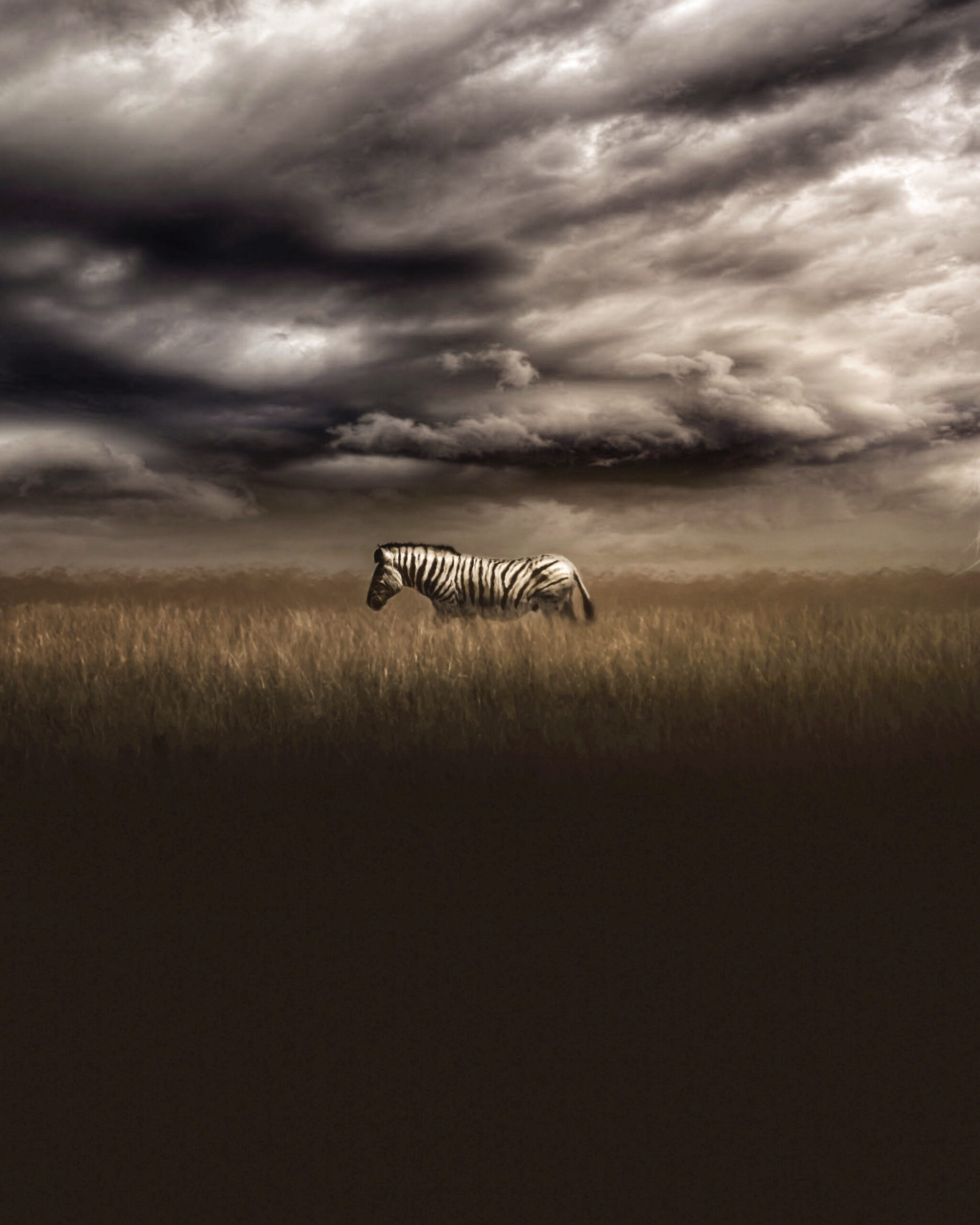 9 Day Kenya Circuit Safari With Masai Mara Image 3