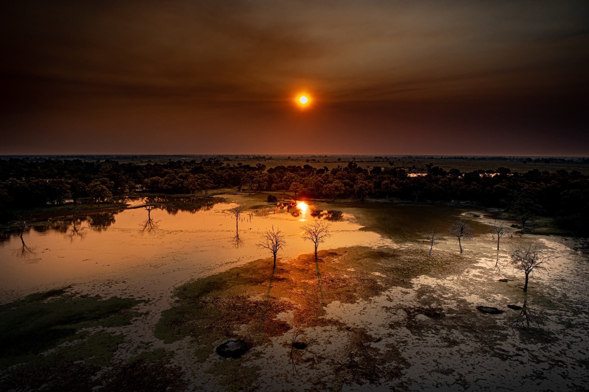 The Great Wildebeest Migration: Nature’s Most Breathtaking Show Image 3
