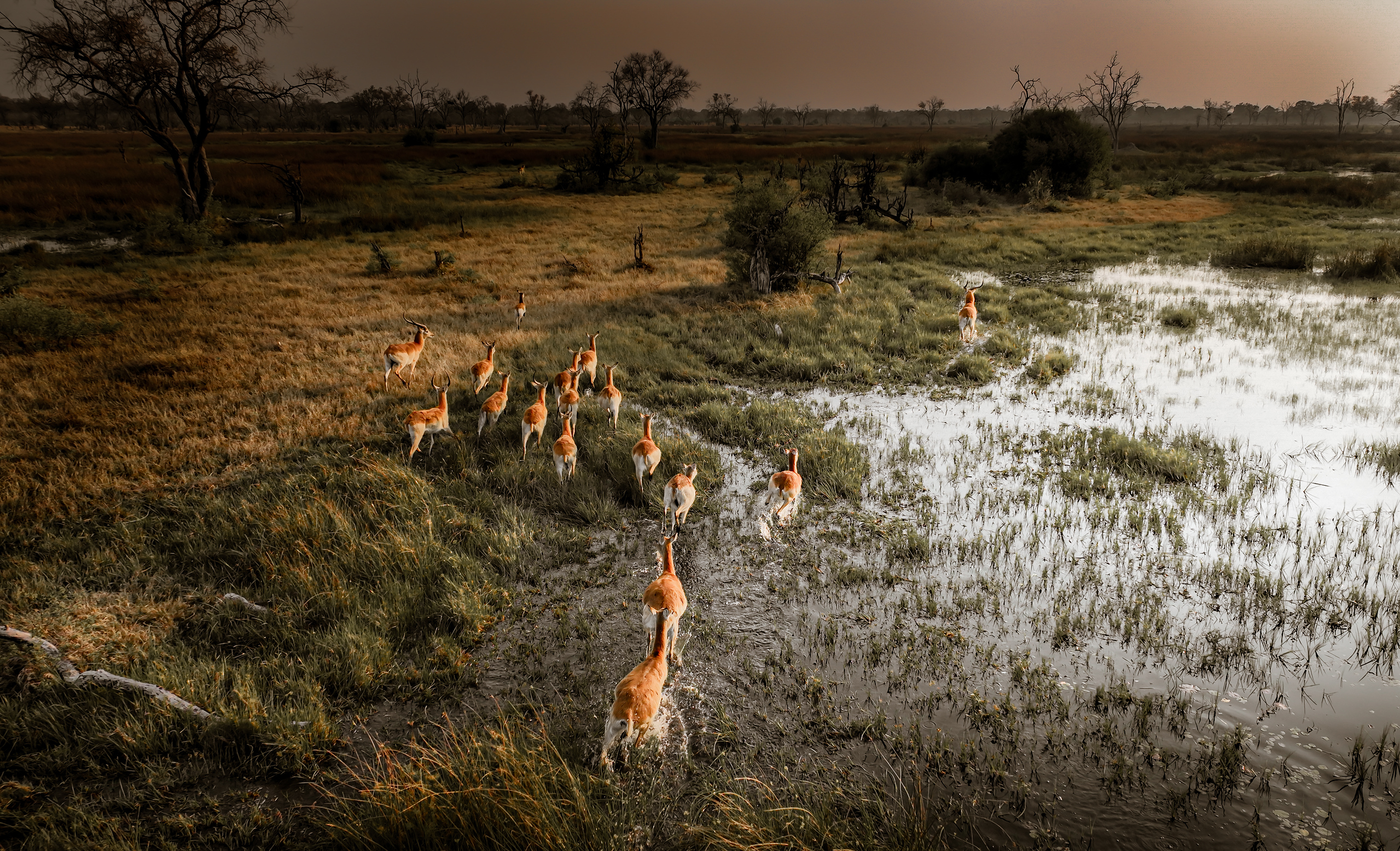 When to See the Great Migration Image 3