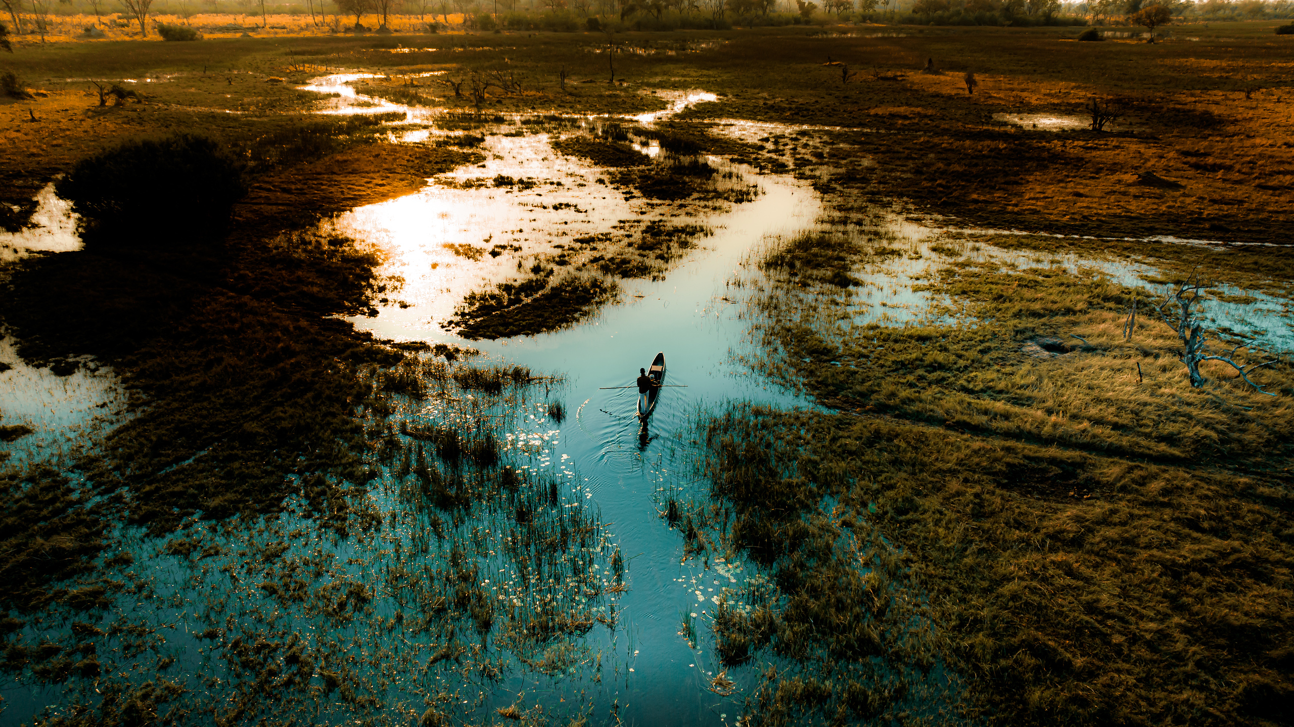 When to See the Great Migration Image 4