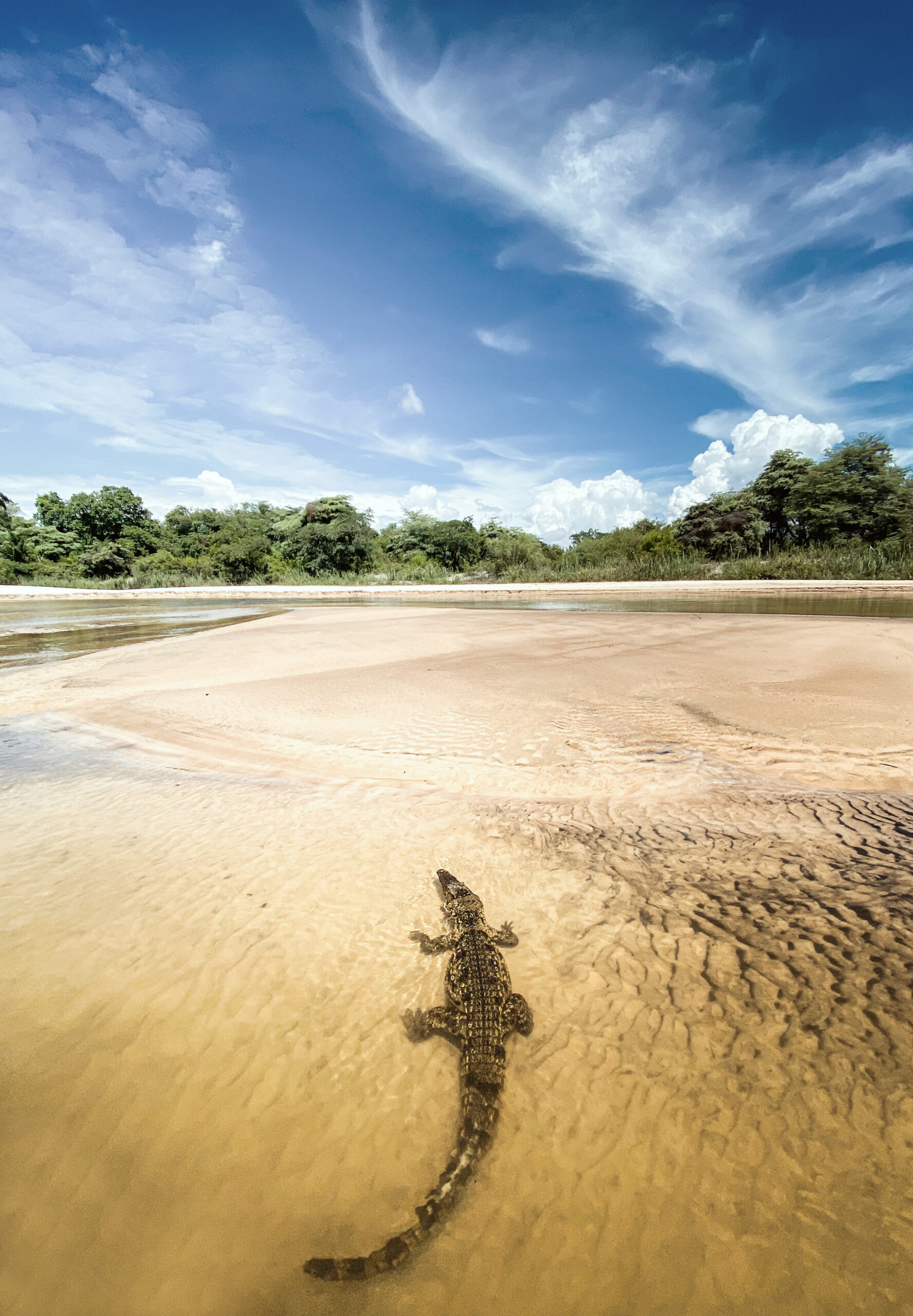 Luxury Safari Holidays in Namibia for Couples Image 1