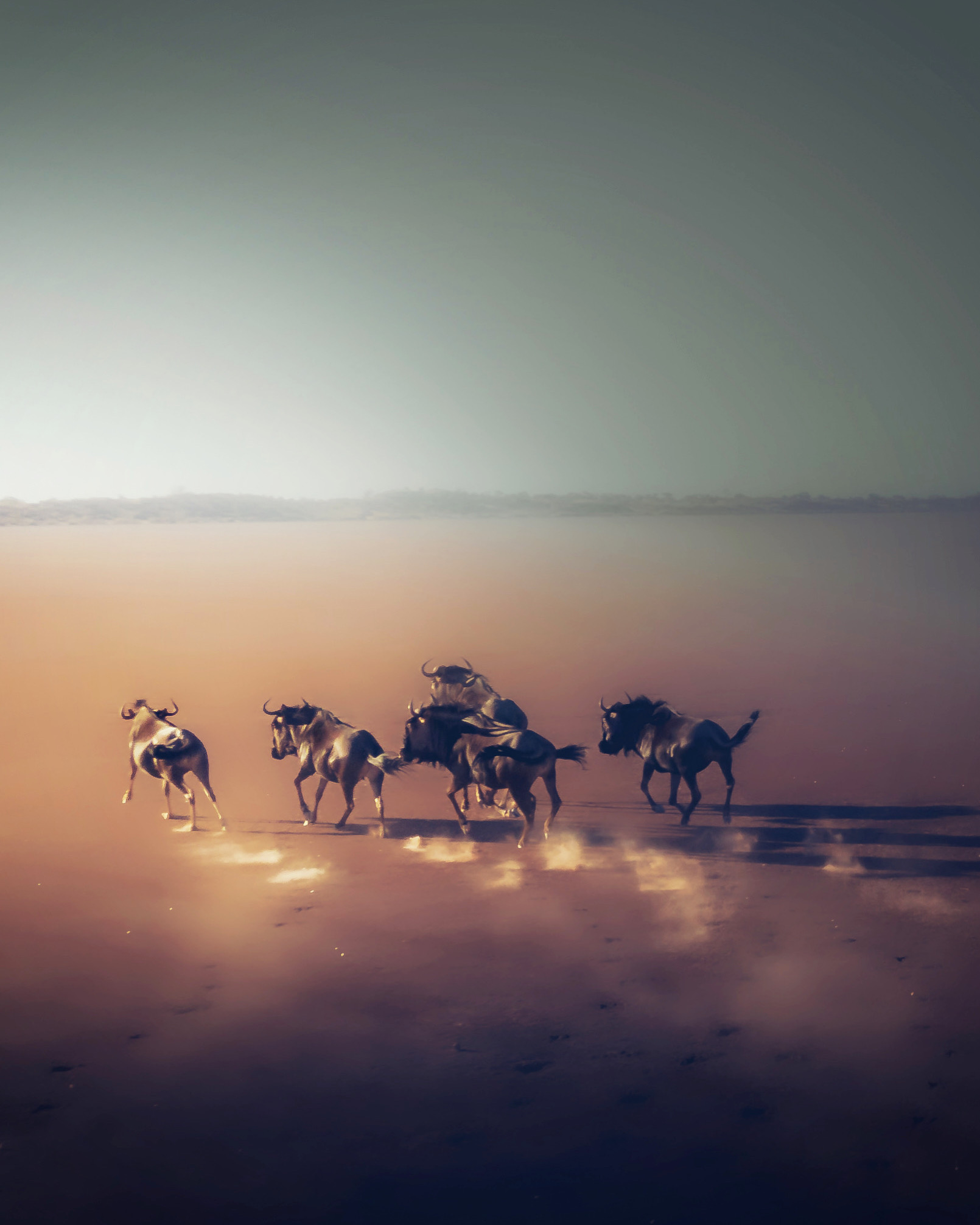 Vivid wildlife capture in the golden hour