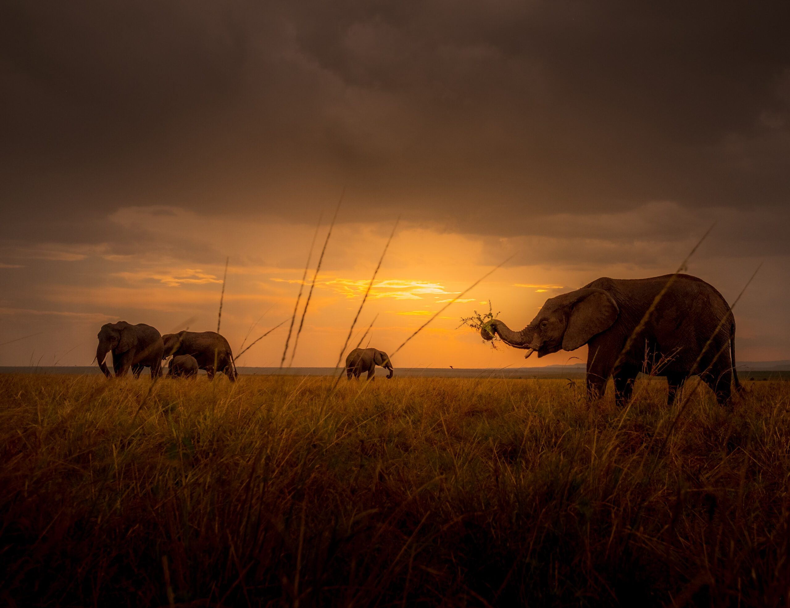 Pristine untouched desert landscapes under blue skies
