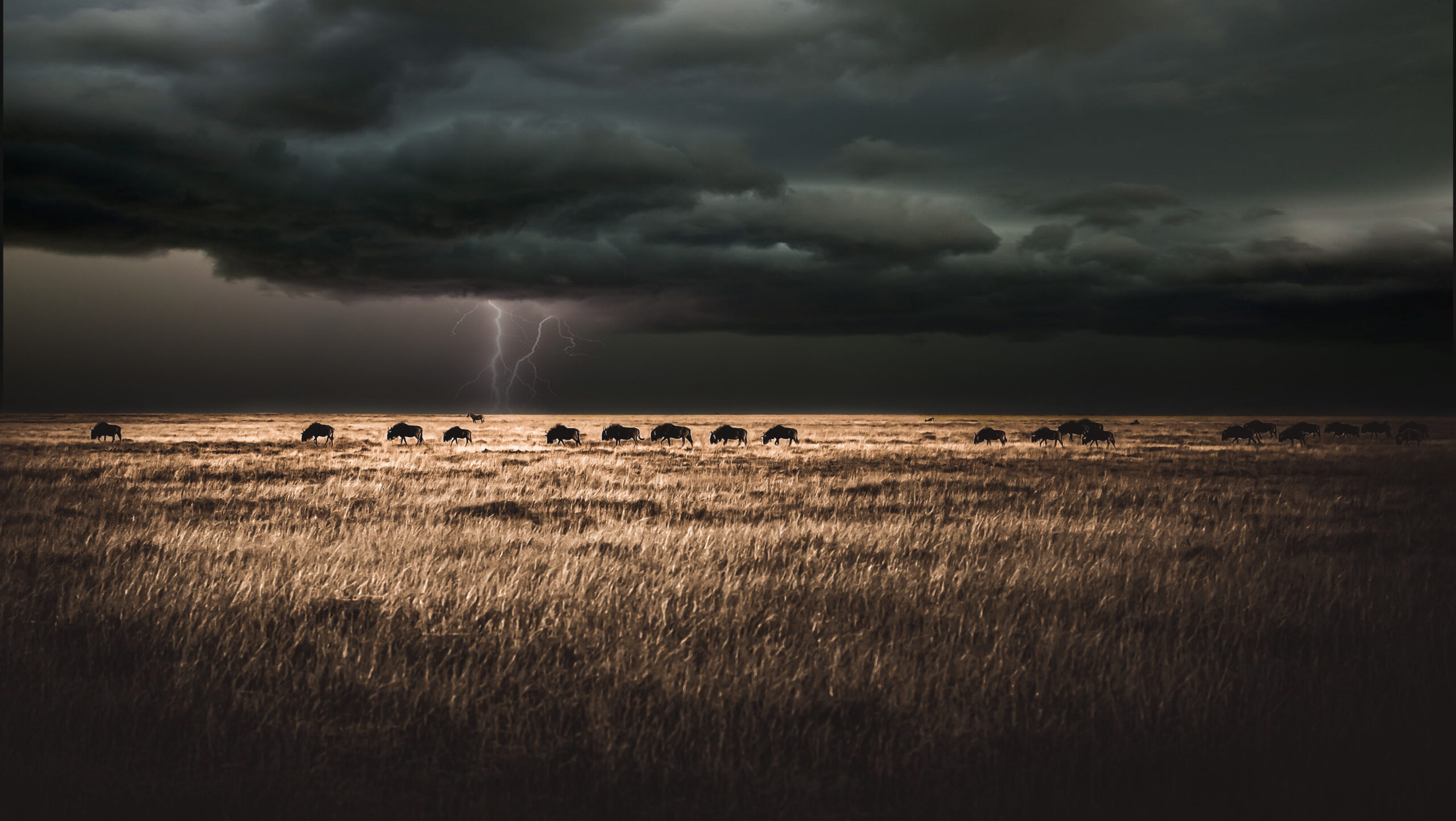 Rugged mountains juxtaposed with dry valley floors