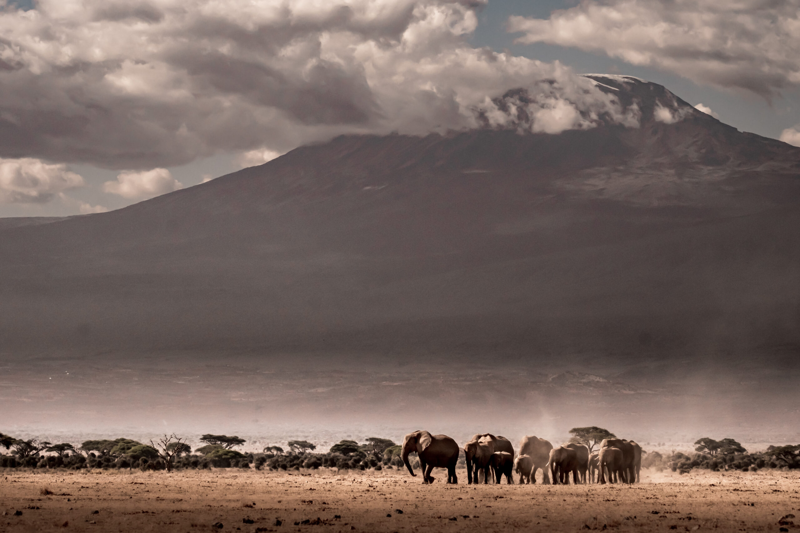Abundant animals near natural water sources