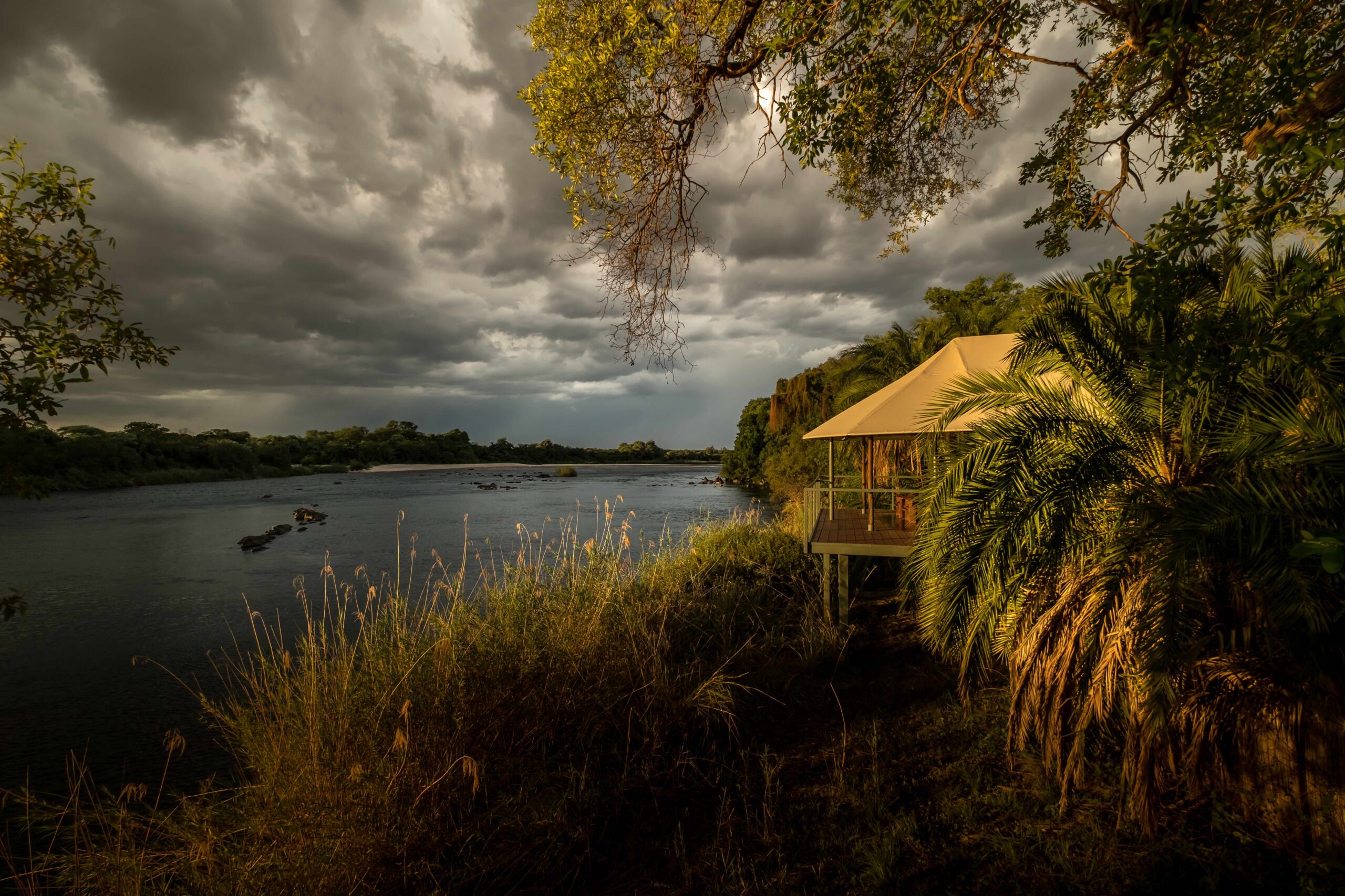 Namibia Wildlife Experience