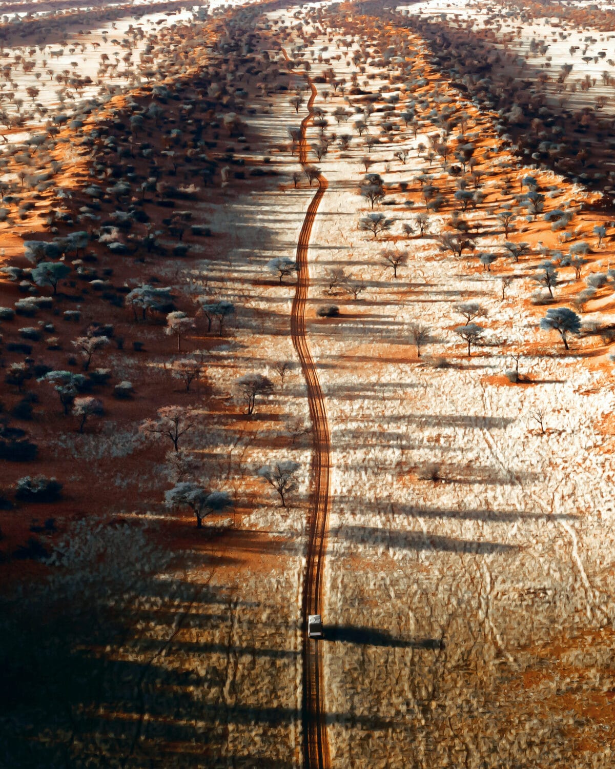 What Namibian Car-Hire Insurance Does Not Cover